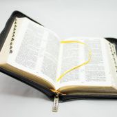 Библия каноническая 037ZТI (кож. переплет, золотой обрез, краевой указ., на молнии, карм. ф)